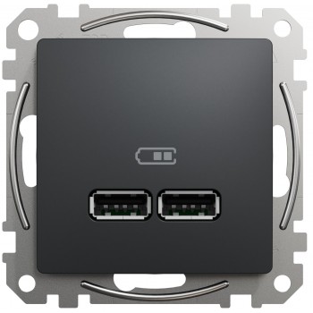 USB розетка тип A+A 2,1A Schneider Electric Sedna Design черный