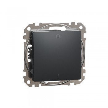 Выключатель 2-х полюсный Schneider Electric Sedna Design черный